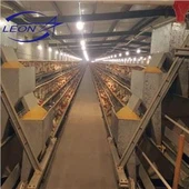 A tegund búr fyrir lag kjúklingabú