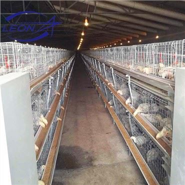 Broiler Cage