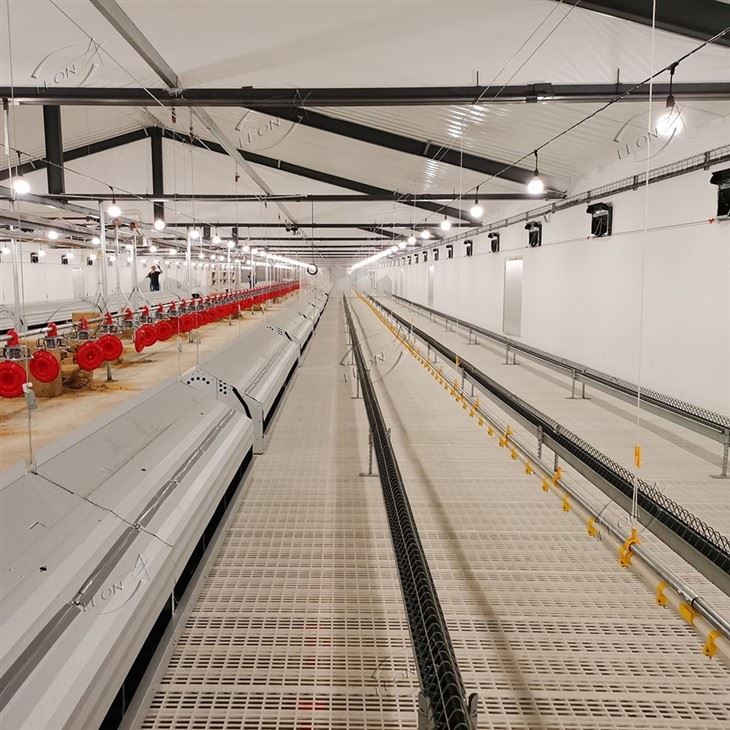 Broiler Parent Stock Chicken Raising System