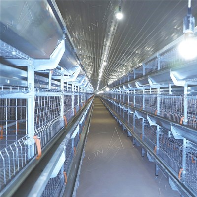 Broiler kjúklingabúr fyrir alifuglaeldisbúnað