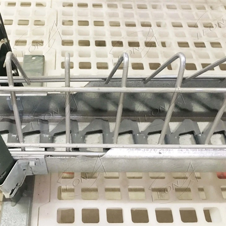 Automatic Breeder Chain Feeding System Automatic Breeder Chain Feeding System