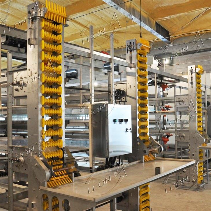Layer Cages Egg Chicken Battery Layer Cages Egg Chicken Battery