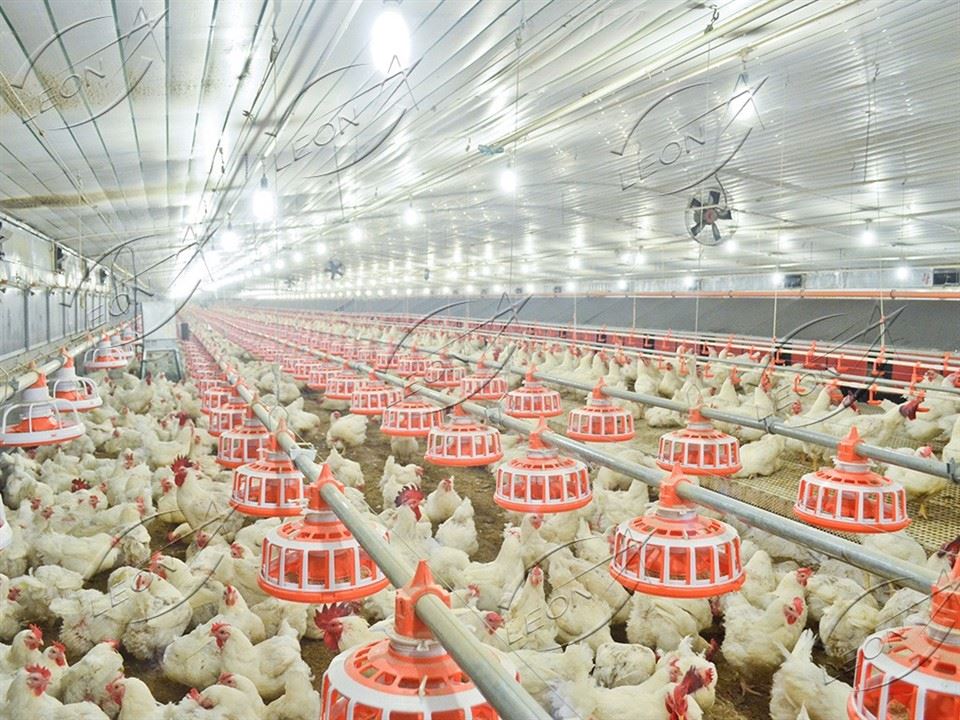 Automatic Breeder Raising System Automatic Breeder Raising System