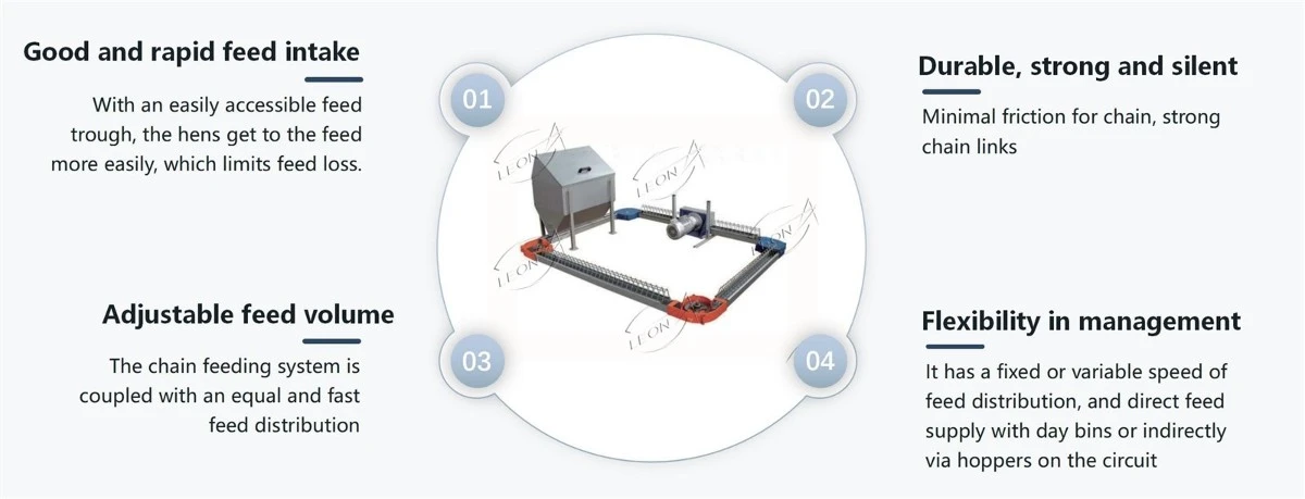 Automatic Breeder Chain Feeding System 3 Automatic Breeder Chain Feeding System 3